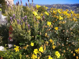 Chambres d'hôtes D'AQUI D'AIA - 4