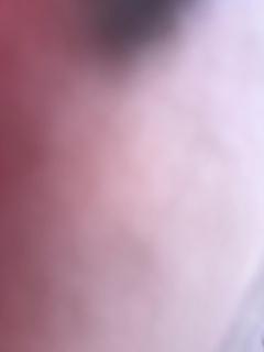 Apartament de inchiriat - 3