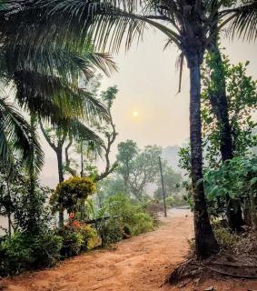 Ammavvana Kutira Home stay - 9