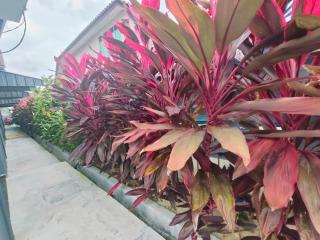 Seri Mersing Villa Roomstay 1 - 2