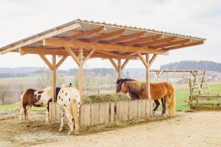 Ferienhof Kosertal mit Reiterhof - 8