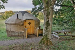 Chestnut - Yurt - Slane - 9