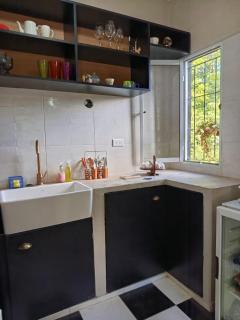 Kactus de la abuela - 7