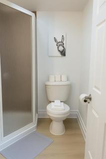 Fonctionnal Escape in Trendy Plateau Montreal - 1