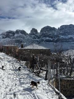 Morfeas Guesthouse - Papingo - 9