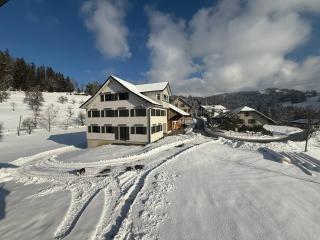 Chalet Vinzenz, Bildstein- mit privatem Ski- und Fahrradraum - 9
