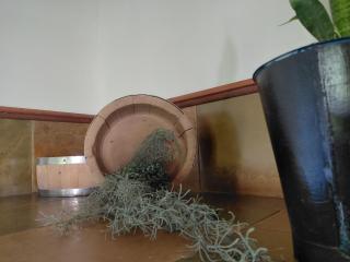 Heritage View Birding Retreat - 9