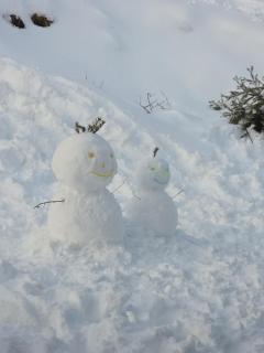 Vertu'Ose avec jacuzzi - Morbier - 9