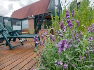 Ferienwohnung Nordholland - 6