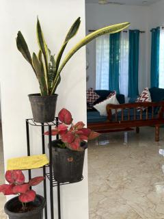 Nature's Inn Luxury Villa Morjim Goa, 4bhk and Sparkling Pool - 3