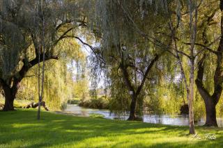 Résidence Campagne Charentaise - 5