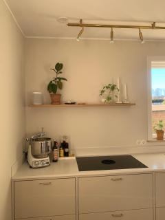 Renovated villa with garden in Halmstad - 6