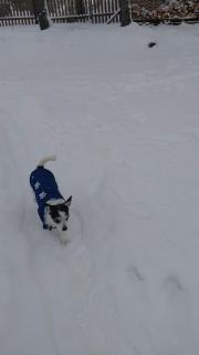 Sosnowy zakątek odpocznij tu - 7