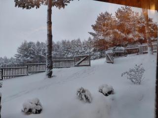 Sosnowy zakątek odpocznij tu - 8