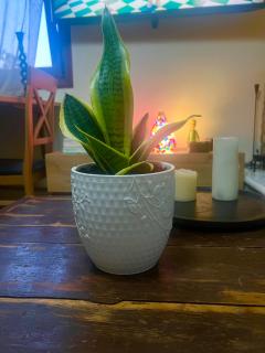 Sissy sweet Home - 9