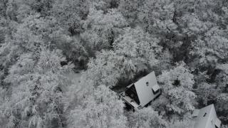 't Grote Egeltje XL chalet 220 - 8