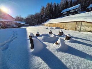 Kuća za 10 osoba sa saunom i masažnom kadom u Parku prirode - 6