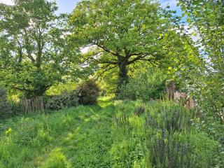 Ecolodge au jardins de Koantiz - 4