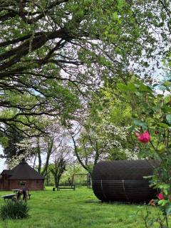 Ecolodge au jardins de Koantiz - 3