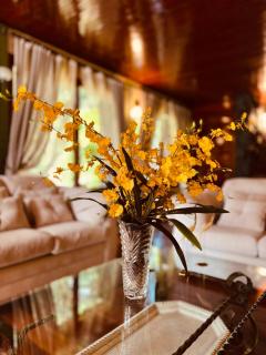 Mansão Bardo - Petrópolis - 4