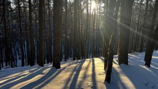 Relax Hütten & Spa Gröden - Groeden - 9