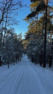 Relax Hütten & Spa Gröden - Groeden - 3