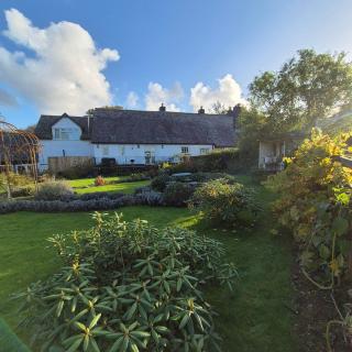 The Millers Cottage - 5