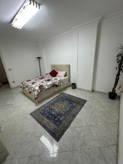 cozy two bedroom flat degla maadi - 5