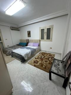 cozy two bedroom flat degla maadi - 7