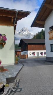 Frische Bergluft und ländlicher Charme - Ihr aktiver Urlaub am Mühlauhof - 5