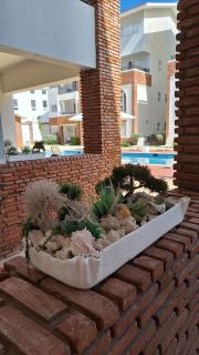 PASSION DEL CARIBE - CORAL VILLAGE 1 - modern and fully equipped apartments & suites in residence with pool and 24 hour security, close the beach, shops, bars, restaurants & entertainment - 1