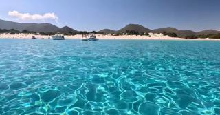 Rose e fiori - Teulada - 7