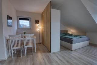 Apartment in Rheinnähe, bei Bonn - 1