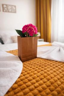 Labela Luhačovice Apartment - 2