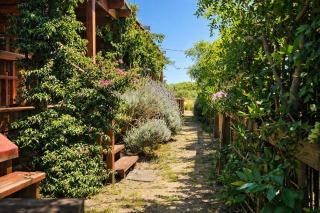 Posada Las Maravillas - 6