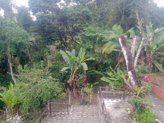 Loft Tarituba Paraty 4 - 6