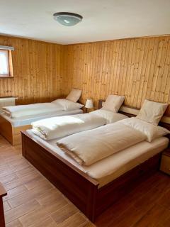 Cozy Basement Apartment - 6