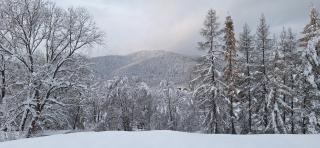 Domek w malowniczych Pieninach - Krościenko - 9