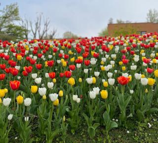 Bright and welcoming two-room modern apartment - 6