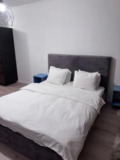 Lions Studio Dristor - Boekarest - 6