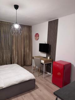 Lions Studio Dristor - Boekarest - 8