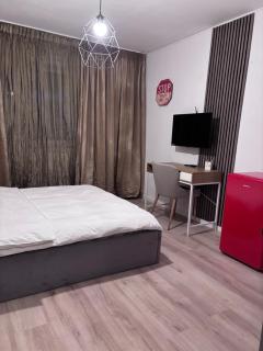 Lions Studio Dristor - Boekarest - 7