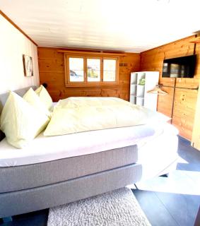 Apartments Chalet Tatyana - 6