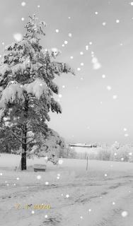 Charming cottage on Kvegero - 8