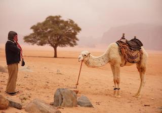 Wadi Rum Luxury Star Camp - 1