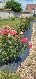 Gite de l'artiste - 5