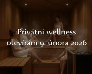 Resort Červený dvůr - apartmány a privátní wellness - 7