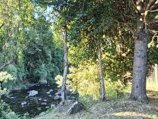 Cabañas Río Iculpe - 4