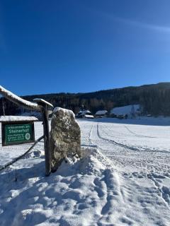 Steinerhof - 7