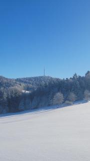 Ferienbungalow Sonnenwald Bayerischer Wald - 7